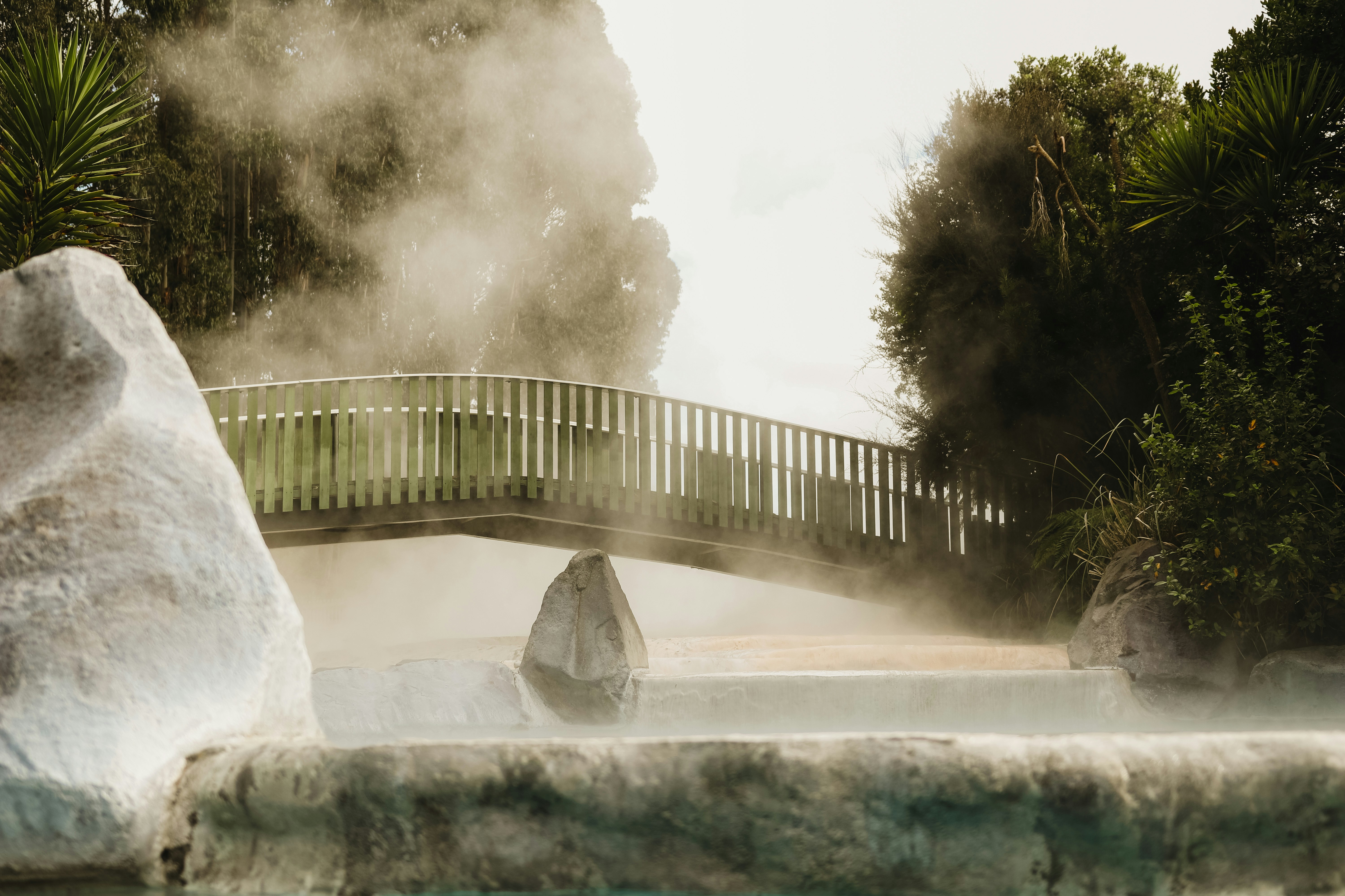 Steam